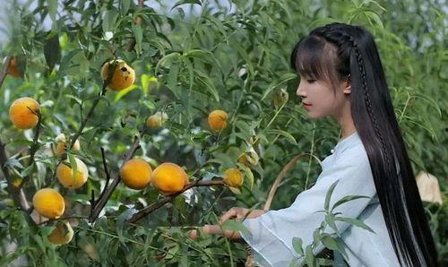 李子柒吃哈密瓜,穿越田园，品味西域甜蜜  第1张