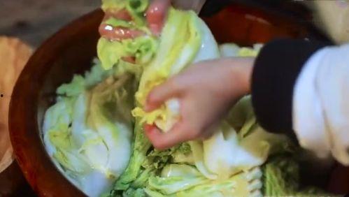 李子柒吃哈密瓜,穿越田园，品味西域甜蜜  第3张