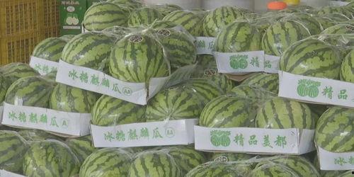 近期吃瓜大合集,盘点娱乐圈那些事儿  第3张