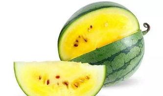 开封尉氏北街吃瓜,夏日吃瓜盛地，品味古城风情