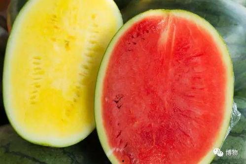 吃瓜基因是什么,揭秘人类对八卦新闻的天然偏好