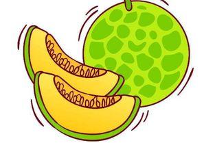 吃哈米瓜什么,探寻独特风味与营养奥秘