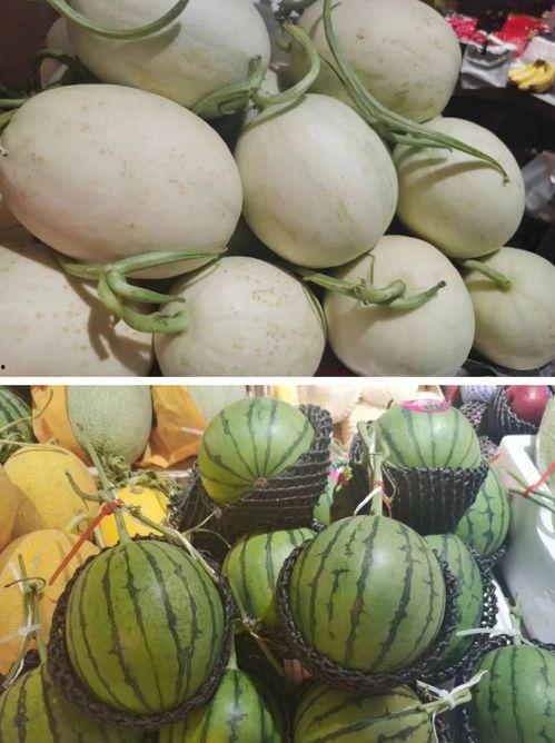 海南吃瓜网站,揭秘热带风情美食圈