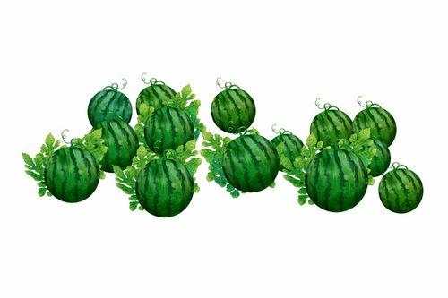 阿土吃瓜,揭秘娱乐圈背后的那些事儿