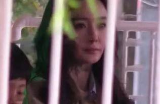 回归初心吃瓜,一场吃瓜之旅的感悟与启示