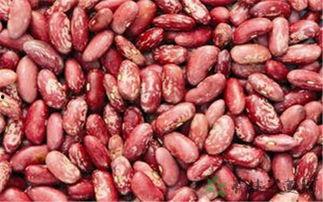 吃瓜群主花花,揭秘网络社交圈的幕后故事