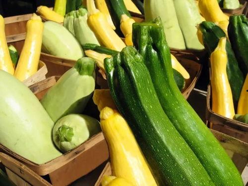 52吃瓜www,揭秘娱乐圈那些不为人知的幕后故事