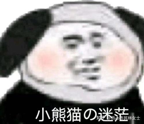 熊猫吃狗头瓜表情包,萌态可掬，趣味横生