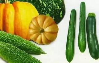 吃瓜看财经,揭秘娱乐圈与资本市场的奇妙交融