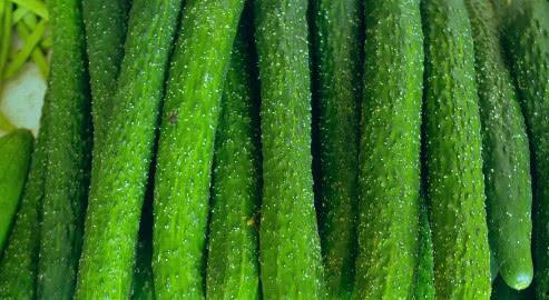 绿瓜会吃胖,揭秘低热量美食，轻松享瘦不胖的秘密