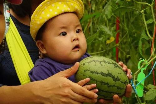 七七吃瓜群,揭秘娱乐圈幕后故事