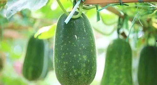 每日一吃瓜,揭秘娱乐圈最新热点事件