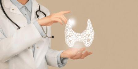 吃瓜脱发的危害,揭秘吃瓜脱发的潜在危害