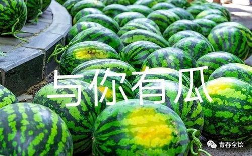 校园吃瓜大学,吃瓜大学生的趣味生活