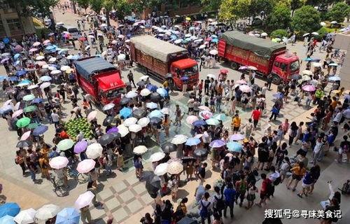 吃瓜网站免费路口,带你领略网络娱乐新风尚