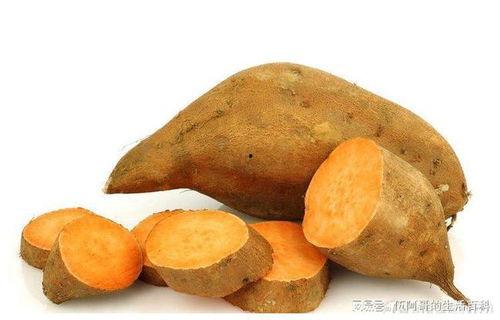 连续吃一周地瓜,健康生活新体验 第3张 连续吃一周地瓜,健康生活新体验 第3张