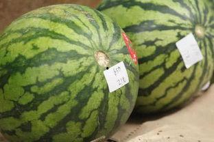 郑州7.10吃瓜  第3张