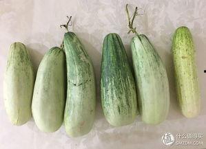 吃瓜吃自己的,揭秘“吃瓜吃自己”的荒诞真相