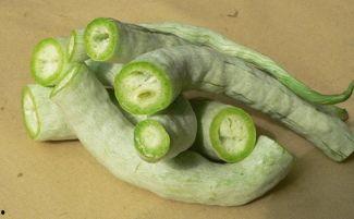 邑瓜怎么吃,解锁美味新体验  第1张