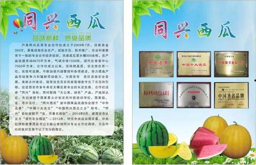 邑瓜怎么吃,解锁美味新体验  第3张