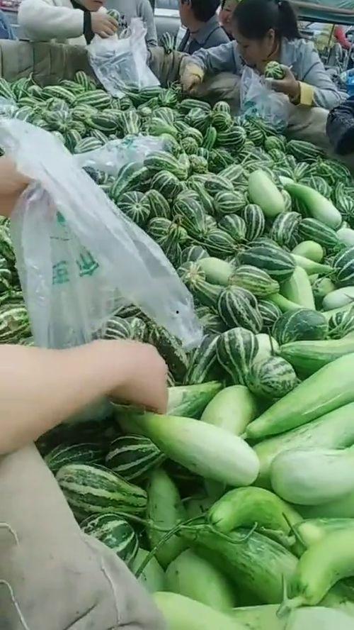 挂拉瓜怎么吃,解锁美味新体验  第3张