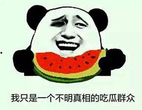 你像个吃瓜群众  第3张