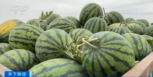 于适吃瓜现场,揭秘娱乐圈幕后真相 第3张 于适吃瓜现场,揭秘娱乐圈幕后真相 第3张