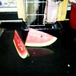 吃瓜大赛背景视频 第3张 吃瓜大赛背景视频 第3张