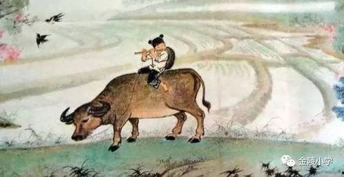 牧童骑黄牛吃瓜