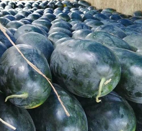 石头瓜是硒沙瓜吗怎么吃,独特吃法揭秘  第2张