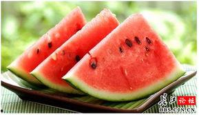 吃瓜群114493,一场全民参与的娱乐盛宴  第2张