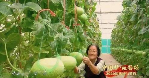 论坛吃瓜故事  第2张