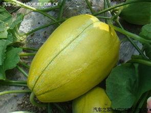 论坛吃瓜故事  第3张