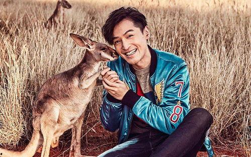 吃瓜的遇狼  第3张