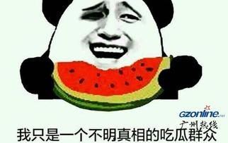 我的名字吃瓜,揭秘我的名字背后的趣味故事