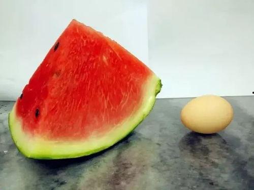 吃瓜比赛标准,揭秘吃瓜比赛标准与精彩瞬间  第3张