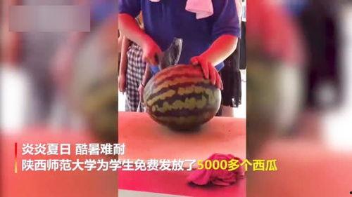 吃瓜新出版视频,揭秘娱乐圈幕后真相，带你领略明星真实生活  第2张