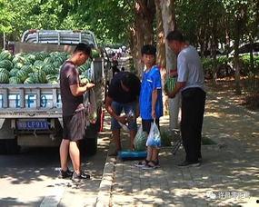 安徽亳州吃瓜群众,吃瓜群众的欢乐盛宴