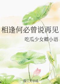 小语吃瓜,揭秘娱乐圈那些不为人知的幕后故事  第2张