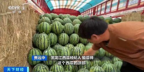 路宇吃瓜  第3张