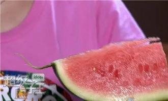 没有刀怎么吃籽瓜,籽瓜食用新攻略  第2张