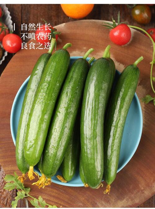 茄瓜水果怎么吃,茄瓜水果的多彩食法探索  第3张