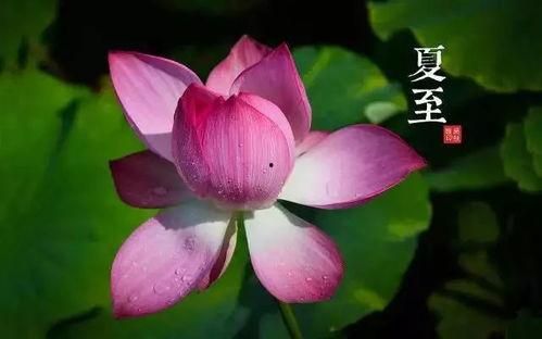 晚睡吃瓜的帖子,揭秘娱乐圈晚睡背后的秘密  第2张