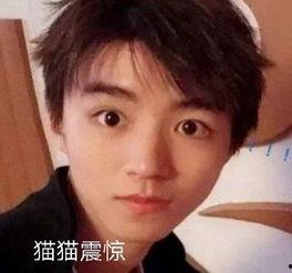 吃瓜群众郭富城视频,揭秘明星日常趣味瞬间 第2张 吃瓜群众郭富城视频,揭秘明星日常趣味瞬间 第2张